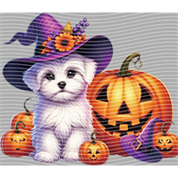 Halloween-WS 5747